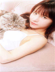 《日本美猴王》